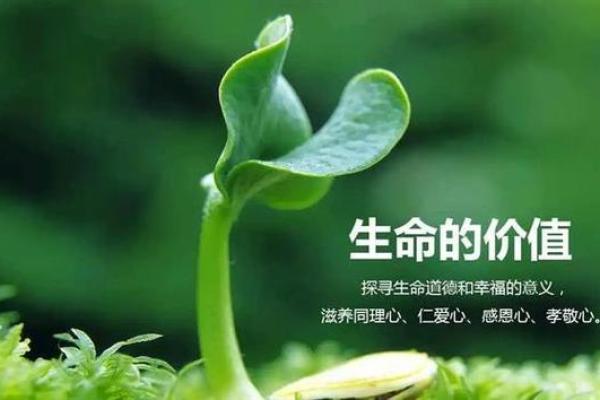 为什么我总觉得命特别不好?探寻背后深层次的原因 为什么我总觉得命特别不好?探寻背后深层次的原因