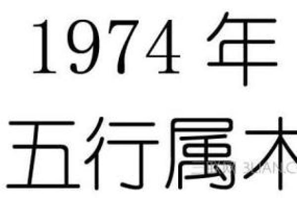 己卯年出生的人命运解析：探寻五行与生肖的神秘交融