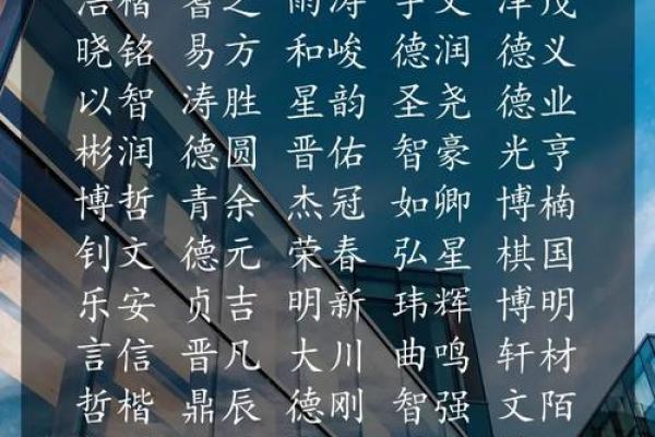 1955年出生的猴，属于什么命？探秘猴年命理的奥秘与人生旅程