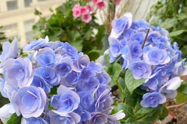 木命人的颜色选择:穿出生命的春天与和谐之美 木命人的颜色选择:穿出生命的春天与和谐之美