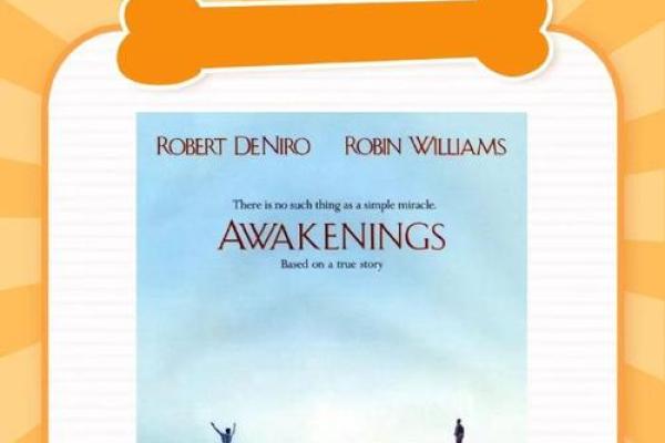 骨重3.1命运解析:探索生命之路的奥秘 骨重3.1命运解析:探索生命之路的奥秘