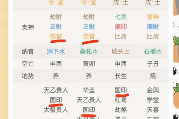 从命理格局看人生命运的奥秘与启示