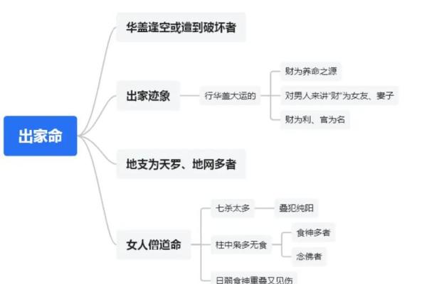 华盖入命：揭秘你的职业发展与命理的关系