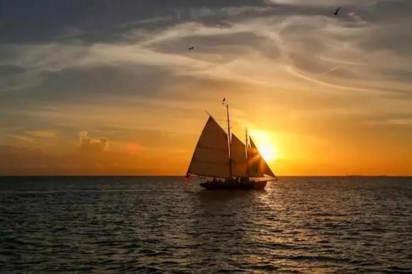 92年六十甲木命：揭示人生的潜力与挑战