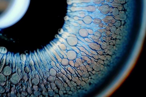 五二年属什么命,探寻其背后的深意与命运 五二年属什么命,探寻其背后的深意与命运