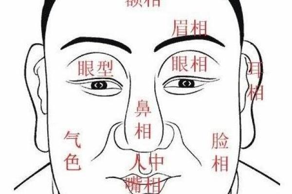 95年命格解析：了解你最怕的是什么，助你平步青云！