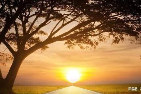 男命正官运：开启人生成功的大门与平衡之道