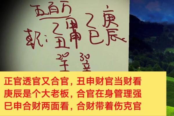 乙巳命男的生肖特点与运势解析:揭开命理的神秘面纱 乙巳命男的生肖特点与运势解析:揭开命理的神秘面纱