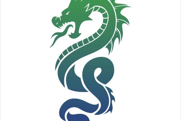 53年属猪的命运解析:如何把握机遇与挑战 53年属猪的命运解析:如何把握机遇与挑战