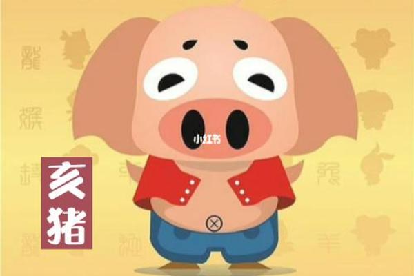 95年男猪是什么命？解析这一命理背后的深意与象征！