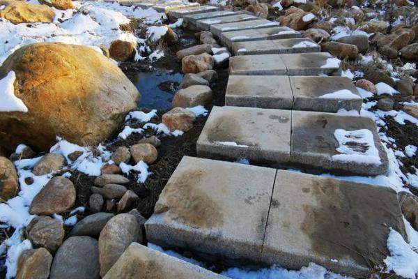 庚子鼠年：解密命理与命缺，找寻人生平衡之道