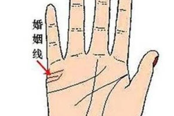 看手相识人生：揭秘厚实命女人的命运密码