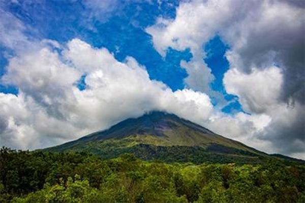 喜命神木:探究木之旺色,让你的运势腾飞! 喜命神木:探究木之旺色,让你的运势腾飞!