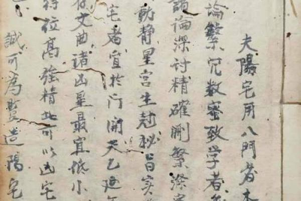 1969年属什么士命:探索属于你的命理世界 1969年属什么士命:探索属于你的命理世界