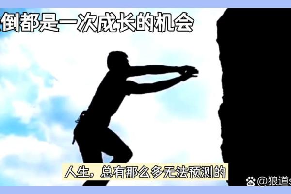 揭开熊命的神秘面纱：探索人生的另一种解读