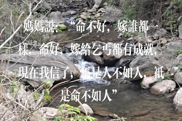 1969年出生的鸡年命，如何成就辉煌人生？