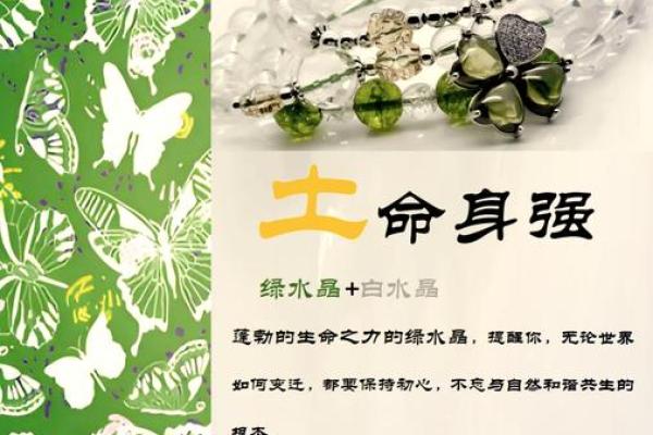 一世命即万世命:生命的深邃与永恒之思 一世命即万世命:生命的深邃与永恒之思