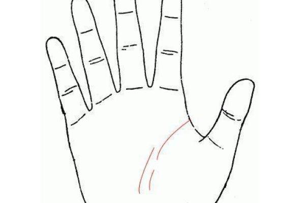 指纹无斗代表命理解析:解读人生玄机与性格特征 指纹无斗代表命理解析:解读人生玄机与性格特征