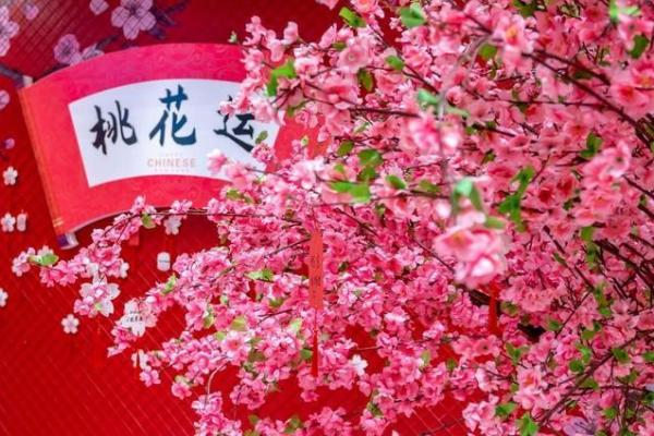 揭开桃花命的神秘面纱:女人命中桃花运的深意与启示 揭开桃花命的神秘面纱:女人命中桃花运的深意与启示