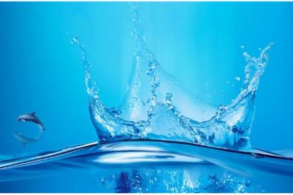 1997年水命:破解水的神秘,探索生活的无限可能 1997年水命:破解水的神秘,探索生活的无限可能