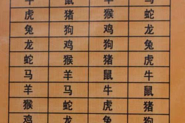 1992属狗女性命运解析:勇敢与温柔的完美结合 1992属狗女性命运解析:勇敢与温柔的完美结合