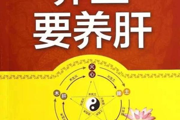 养生等于养命:生活中的注意事项与实践分享 养生等于养命:生活中的注意事项与实践分享
