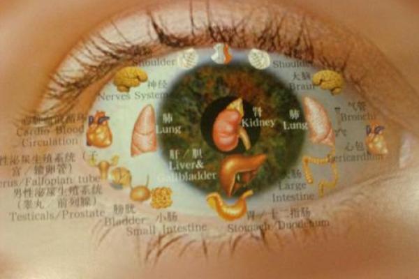 左眼命理与生肖的深刻关联:解读你的命运密码 左眼命理与生肖的深刻关联:解读你的命运密码