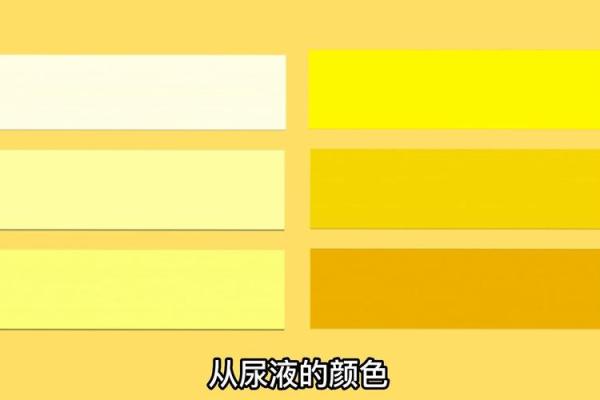 命理缺水者的颜色选择:如何用色彩助运提升运势 命理缺水者的颜色选择:如何用色彩助运提升运势