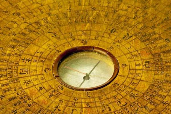 木命的人居住环境与摆放技巧，提升运势的秘诀！