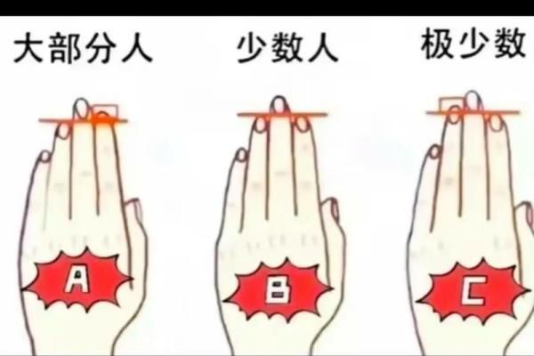 圆指头的人命运揭秘:性格与生活的密码 圆指头的人命运揭秘:性格与生活的密码