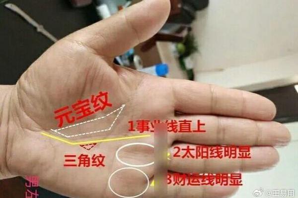 圆指头的人命运揭秘:性格与生活的密码 圆指头的人命运揭秘:性格与生活的密码