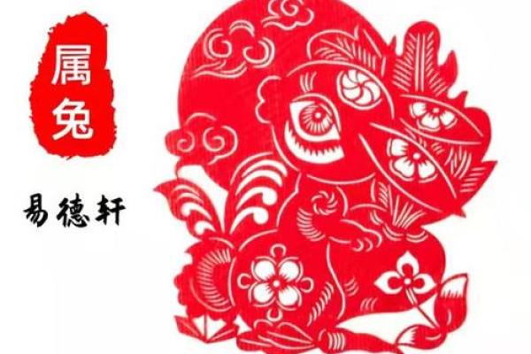 1987年兔年命运解析:揭示生肖兔的性格与运势 1987年兔年命运解析:揭示生肖兔的性格与运势