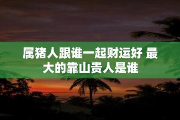 1887年的猪是什么命?探秘属猪人的命运与性格 1887年的猪是什么命?探秘属猪人的命运与性格