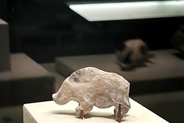 1887年的猪是什么命?探秘属猪人的命运与性格 1887年的猪是什么命?探秘属猪人的命运与性格