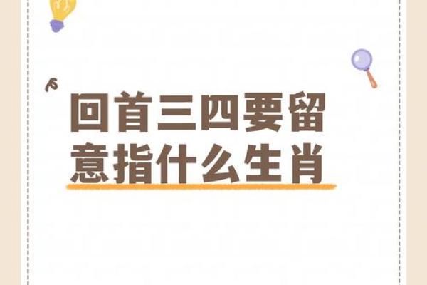 揭秘“乱命”寓意与生肖的神秘联系，探索命理背后的故事