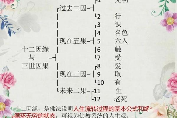 命运的交织：因果链中的人生哲学