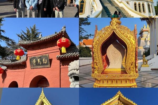 揭开佛教中童子命之谜:为何无此说法与信仰? 揭开佛教中童子命之谜:为何无此说法与信仰?