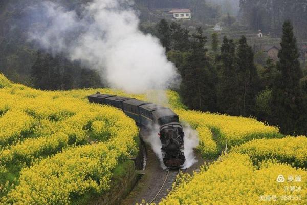 1983年5月15日，春天里的希望与梦想之旅