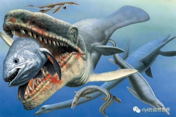 76年龙的命理解析：探索你的命运与性格之谜