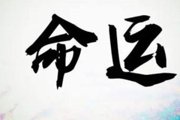 95年属猪，性格与命运揭秘：如何把握运势，迎接美好人生