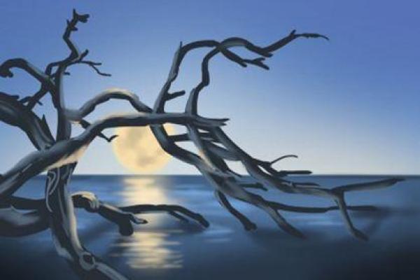 水命之人如何选择挂件,提升运势与魅力的秘诀 水命之人如何选择挂件,提升运势与魅力的秘诀