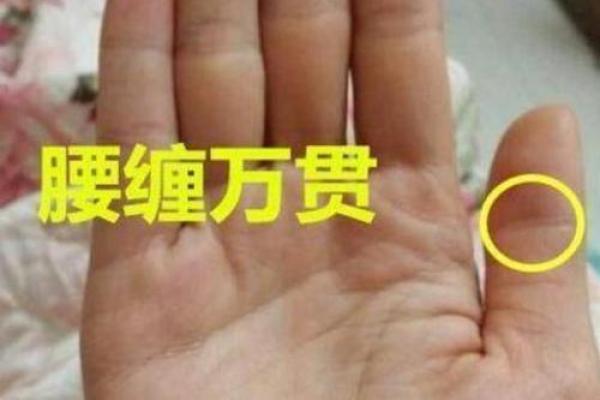 男生富贵命的面相特征及解析,助你找到人生赢家之路! 男生富贵命的面相特征及解析,助你找到人生赢家之路!