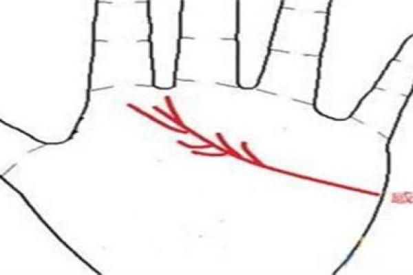 探秘新派命理：开启人生运势的智慧之门