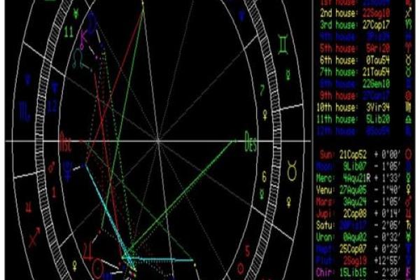 命运的轨迹：94年1月29日的星空启示