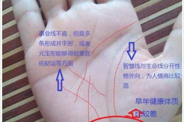 探秘靠财养命的命格特征与生活智慧 探秘靠财养命的命格特征与生活智慧