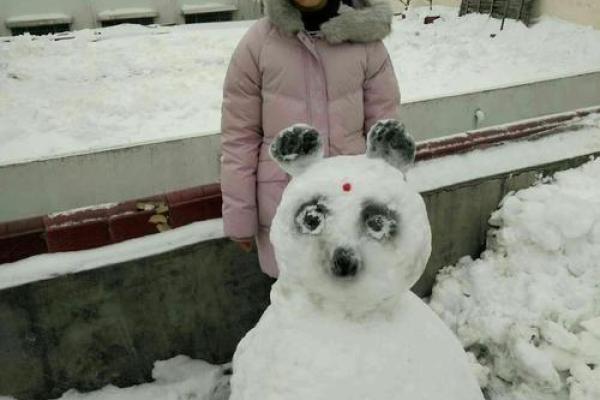 狗年冬天出生的宝宝命运分析：如何培养健康快乐的孩子