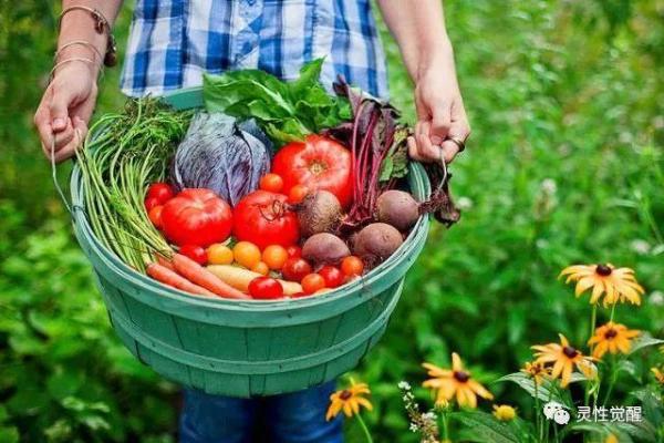 虚岁65岁命运解析:品味人生的智慧与挑战 虚岁65岁命运解析:品味人生的智慧与挑战