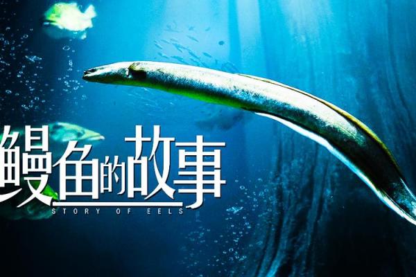 2019年出生的命人：未来的星辰与无限可能