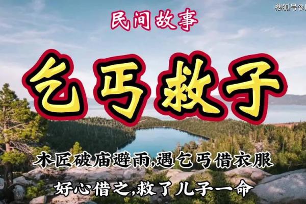 有一命换一命的智慧：命理与生活的博弈