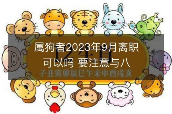 狗年命理：让你的生活更美好的幸运物与助运法